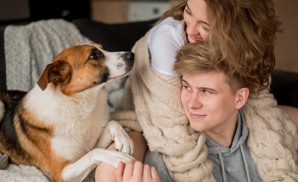 Pet AIs: Emotional Companions with Expiration Dates